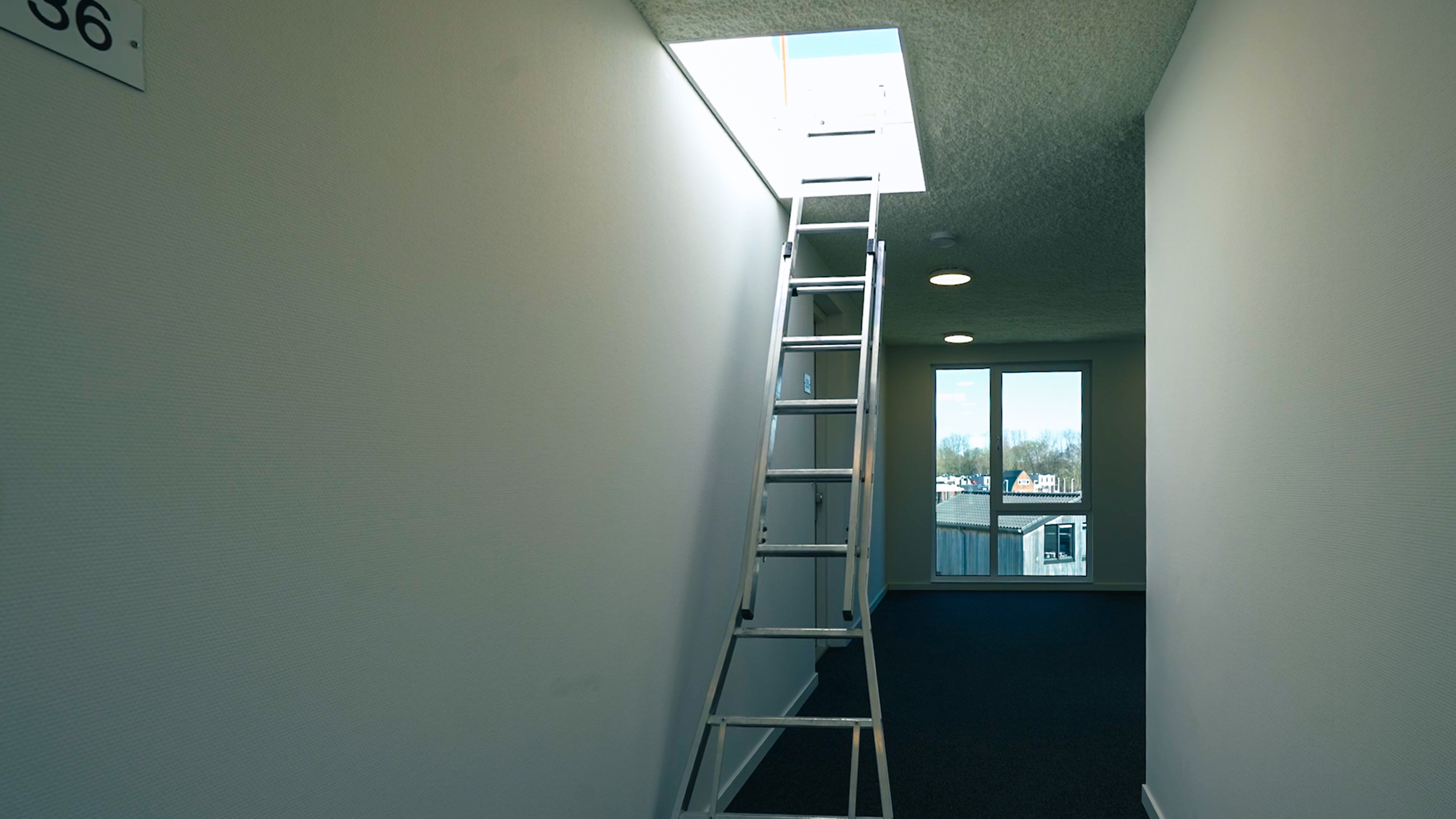 dl-serie_dakluiken_met_opsteekladder_te_veld_eindhoven_6.jpg